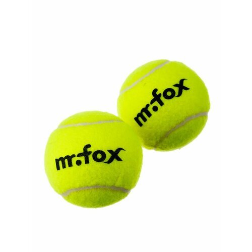 Мяч для большого тенниса Mr.Fox, 2 шт