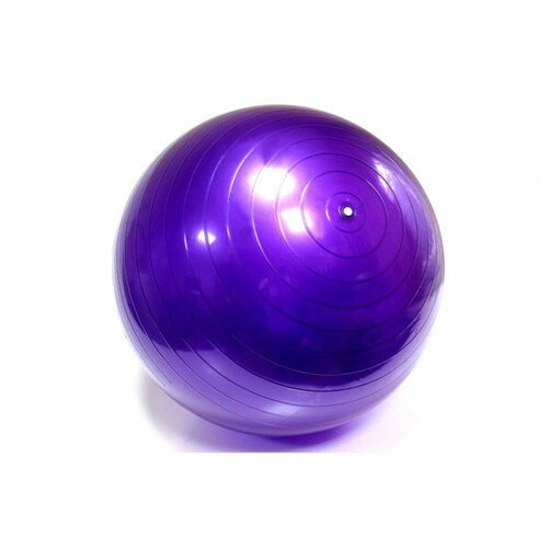 Фиолетовый гимнастический мяч (фитбол) 65 см - антивзрыв SP2086-237